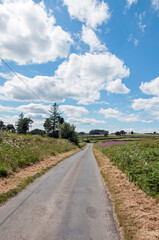 Summertime road in Wales.