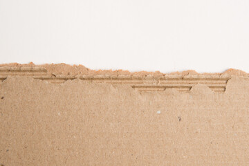 Torn edge cartboard paper material, template border mock up