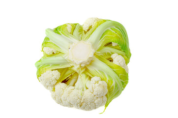 Head of fresh cauliflower isolated on white background. Studio Photo