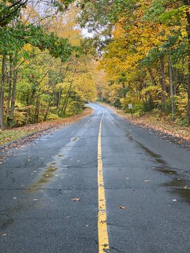 winding road in autumn
