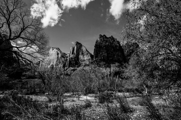 Zion National Park Utah rugged peak of the three kings