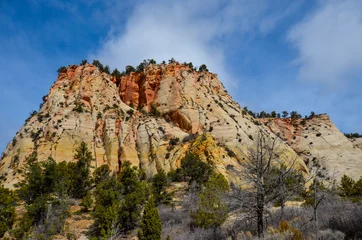 Foto op Canvas Cliffs in Zion National Park Utah, USA.  With cloudy blue sky during early spring. © JMP Traveler