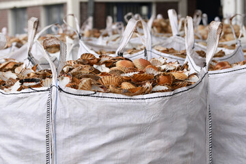 Bags with empty scallop shell for processing Zero waste