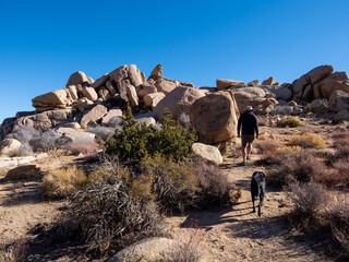 Black labrador retriever dog  and man climbing among field of boulders at dusk with sunset sky...