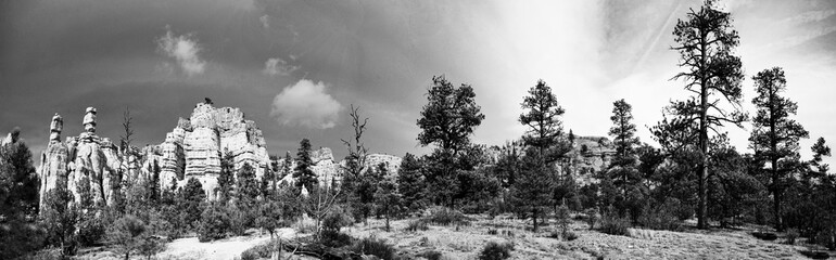 Obraz na płótnie Canvas Red Sand Canyon Park, with pine trees and cloudy sky.