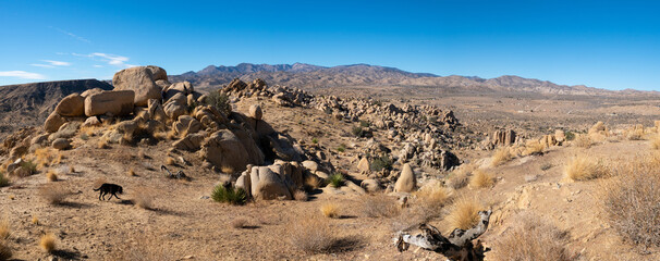Colorful panorama of boulders, desert scenery, mountains at sunset in Yucca Valley, California near Joshua Tree National Park