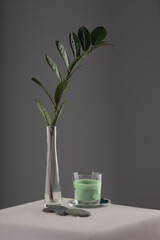 composition of a green branch of a plant and a green lotion for relaxation