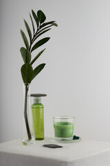 composition of a green branch of a plant and a green lotion for relaxation