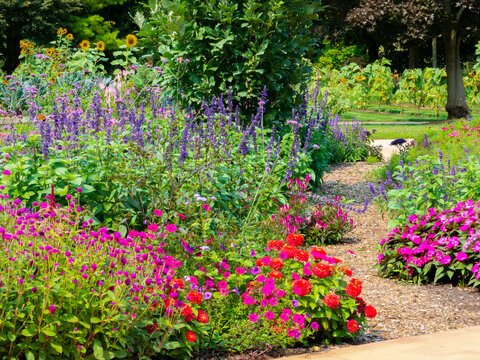 Bright beds of annual flowers along a gravel garden path.