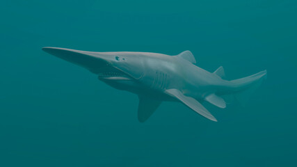 Goblin Shark (Mitsukurina owstoni), 3D rendered