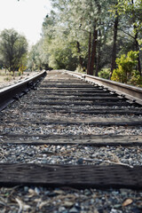 railway in the woods