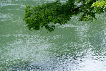 風景素材　爽やかな初夏の清流