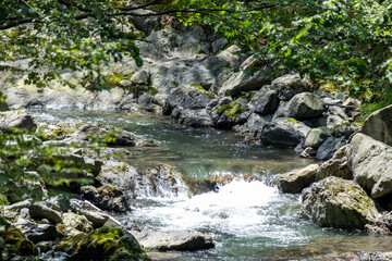 風景素材　初夏の山間の清流