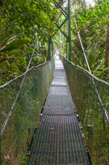 Walking suspension bridge in the rainforest of Costa Rica.