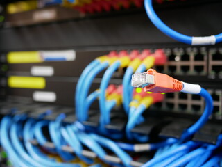 LAN cable network connected to internet switch servers in data center.