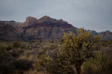 landscape of the mountains