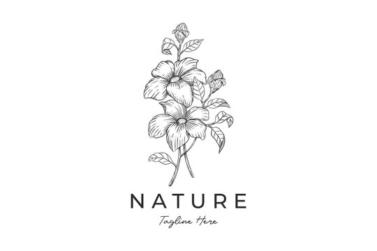 Botanical hand drawn Vintage logo template