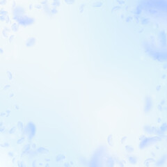Fototapeta na wymiar Light blue flower petals falling down. Adorable ro