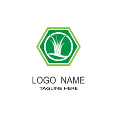 Grass logo vector template