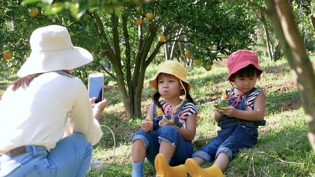 Young mother using a smartphone to take pictures of her two lovely daughters sitting in an orange garden. Family travel and Lifestyle on vacation.