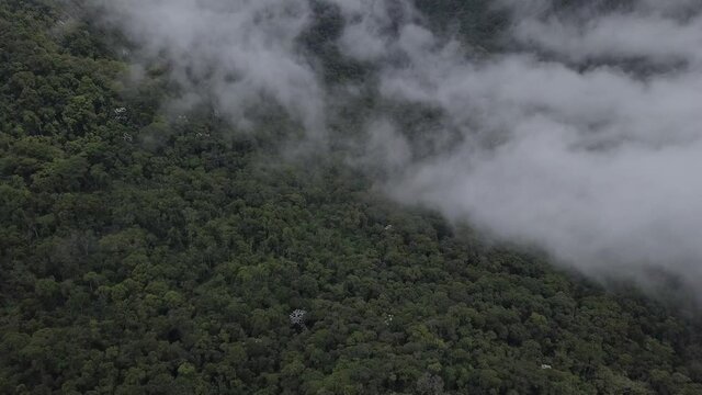 Aerial  - clouds and fog over Atlantic forest in Rio de Janeiro, Brazil