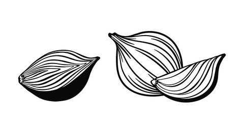 Vector outline drawing of sliced onion isolated on white background. 