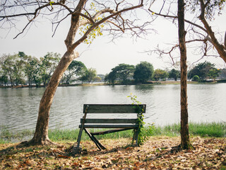 Fototapeta na wymiar Old broken wooden chair in the park near the river