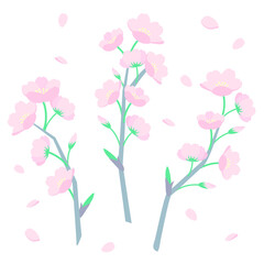 桜の枝のベクターイラスト