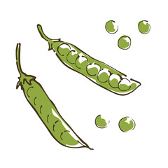 さやえんどう　野菜の手描きスケッチイラスト