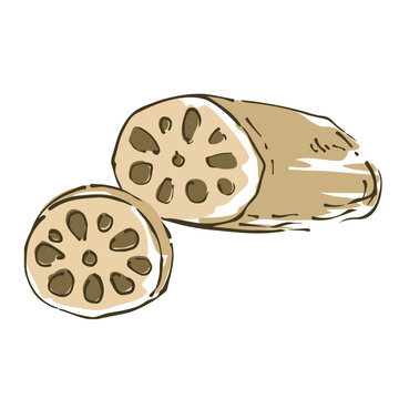 2 595 Best れんこん Images Stock Photos Vectors Adobe Stock 2 595 Best れんこん Images Stock Photos Vectors Adobe Stock