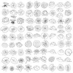 Set of lotuses, line art stylized. Collection of lotus flowers blooms. Black white, hand drawn isolated water pond lily floral. Body and mind designs elements. Vector.