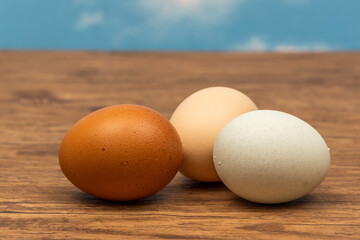 新鮮たまごのイメージ　Image photo of chicken egg 