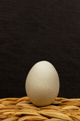 新鮮たまごのイメージ　Image photo of chicken egg 