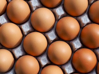 신선한 갈색계란, 음식, 요리재료 

