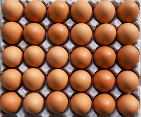 신선한 갈색계란, 음식, 요리재료 
