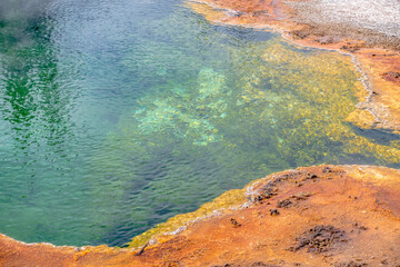 Geyser in Yellowstone National Park in Wyoming