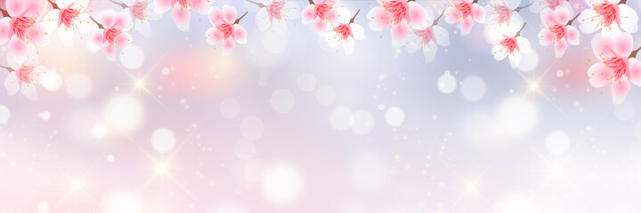 桜　春　花　背景
