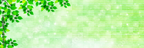 新緑 葉 風景 背景 Wall Mural Wallpaper Murals J Boy 新緑 葉 風景 背景 Wall Mural Wallpaper Murals J Boy