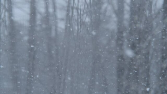 Snowflakes falling in SLOW MOTION, seen through window panes.