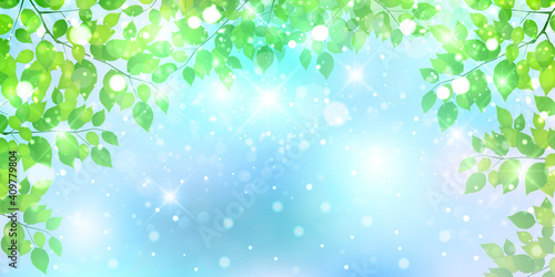 新緑 葉 風景 背景 Wall Mural Wallpaper Murals J Boy 新緑 葉 風景 背景 Wall Mural Wallpaper Murals J Boy