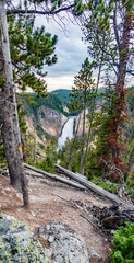 Lower Yellowstone Falls in the Yellowstone National Park