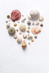 Various sea shells folded in the shape of a heart on a white backdrop. Natural nautical theme background for Valentine's Day or wedding with copy space.