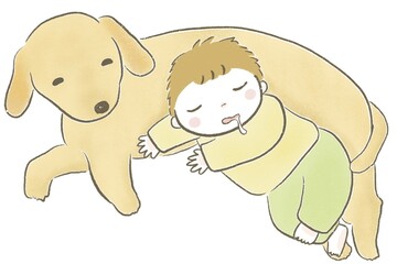 ペットのラブラドールと仲良くお昼寝する男の子
