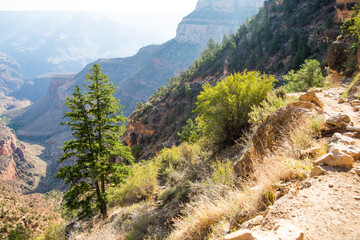 hiking trail in the mountains