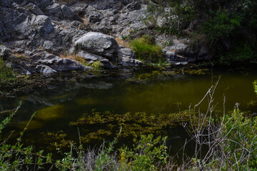 EL TABO. CHILE - JANUARY 26TH, 2021: Amazing green lagoon in the middle of forest 