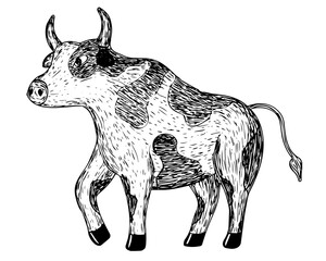 Vector illustration of bull drawn by hand with strokes