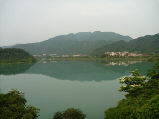 Fototapeta premium Many Vernicia fordii blossom by the river
