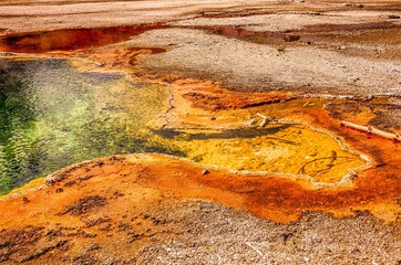 Geyser in Yellowstone National Park in Wyoming