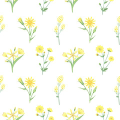 Seamless pattern with yellow flowers. Botanical background of watercolor buttercup, lily,bittercress. Floral backdrop for textile, wrapping paper, packaging. Summer meadow herbs.