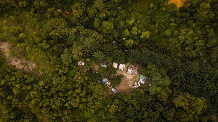 aerial view house in the middle of forest.